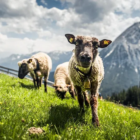 Seefeld Alpin - Rustikales Tiroler Апартаменты Зеефельд в Тироле