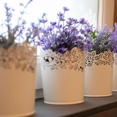 Seefeld Alpin - Rustikales Tiroler Apartamento Seefeld in Tirol