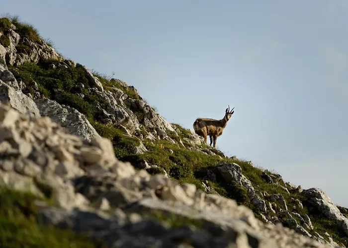 Seefeld Alpin - Rustikales Tiroler *