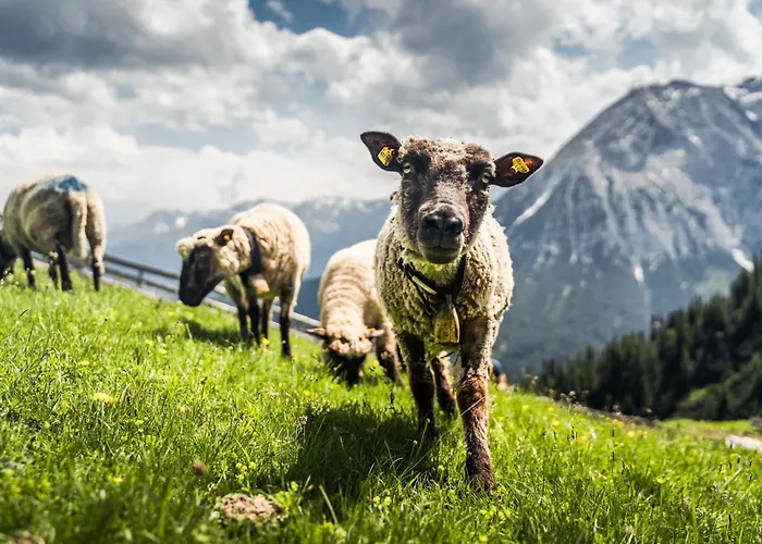 Seefeld Alpin - Rustikales Tiroler Apartment Seefeld in Tirol