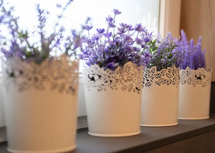 Seefeld Alpin - Rustikales Tiroler Lägenhet Seefeld in Tirol