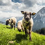 Seefeld Alpin - Tiroler Apartmán Seefeld in Tirol