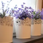 Seefeld Alpin - Tiroler Apartmán Seefeld in Tirol