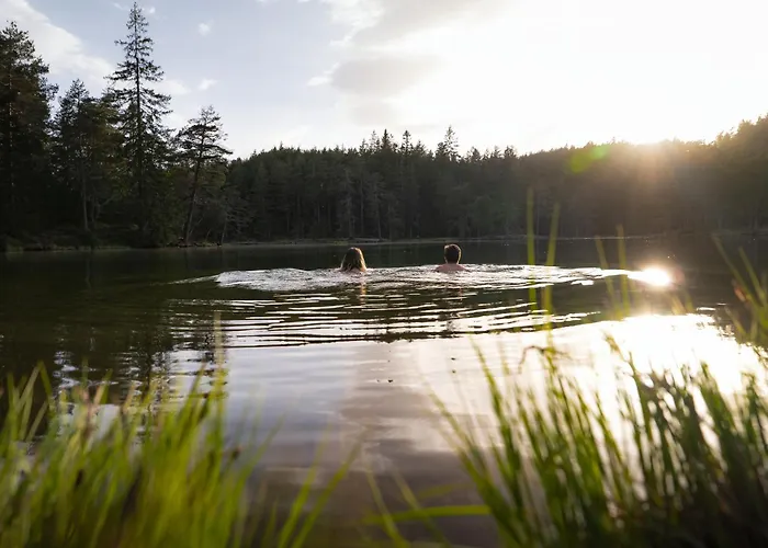Seefeld Alpin - Rustikales Tiroler Appartement *